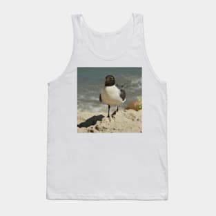 Beautiful photograph of a seagull Tank Top